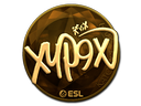 Xyp9x (Gold) | Katowice 2019