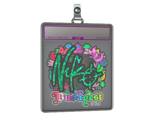 Sticker Slab: NiKo (Holo) | Budapest 2025