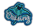 Cruising Ray