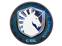 Team Liquid (Holo) | Katowice 2019