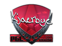 Kjaerbye (Foil) | Krakow 2017