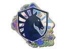 Team Liquid (Holo) | Rio 2022