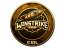 Winstrike Team (Gold) | Katowice 2019