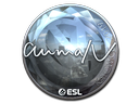 aumaN (Foil) | Katowice 2019