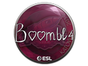 Boombl4 | Katowice 2019