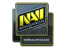 Natus Vincere (Foil) | DreamHack 2014