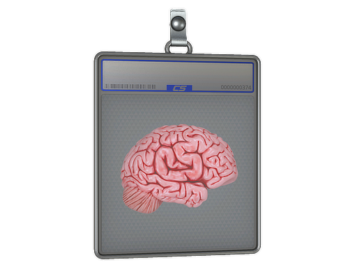 Sticker Slab: CS On The Mind