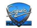 cajunb | Krakow 2017
