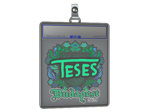 Sticker Slab: TeSeS | Budapest 2025