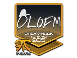 olofmeister | Cluj-Napoca 2015