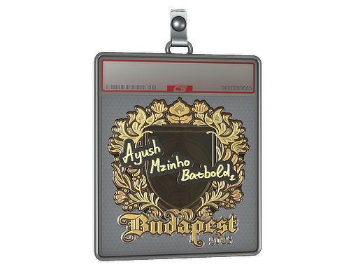 Sticker Slab: mzinho (Gold) | Budapest 2025