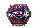 Winstrike Team | London 2018