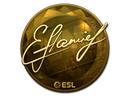 flamie (Gold) | Katowice 2019