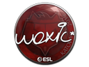 woxic | Katowice 2019