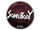 somebody (Foil) | Katowice 2019