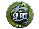 Team Spirit | Katowice 2019