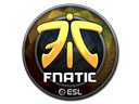 Fnatic (Foil) | Katowice 2019
