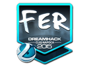 fer (Foil) | Cluj-Napoca 2015