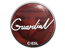 GuardiaN | Katowice 2019