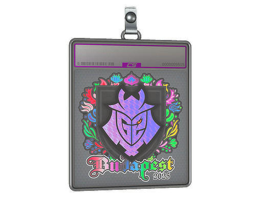 Sticker Slab: G2 esports (Holo) | Budapest 2025