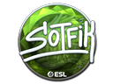 S0tF1k (Foil) | Katowice 2019