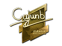 cajunb (Gold) | Boston 2018