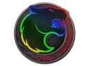 FURIA (Holo) | Katowice 2019