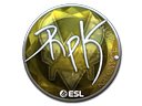 RpK (Foil) | Katowice 2019