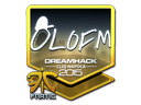 olofmeister (Foil) | Cluj-Napoca 2015